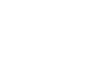 Logo - Kamado joe