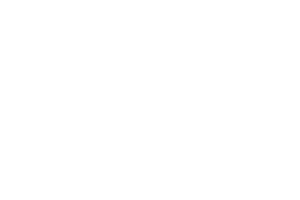 Logo - Masterbuilt