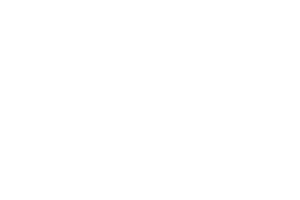 Logo Witloft